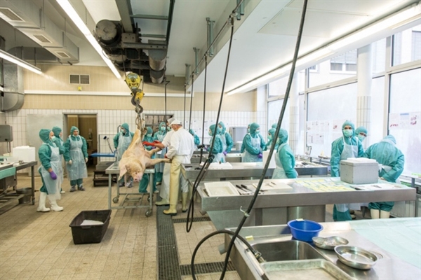 中国药企欧盟碰壁：质量问题还是标准差别？