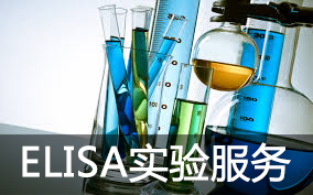 ELISA实验服务 — 酶联免疫吸附试验解析