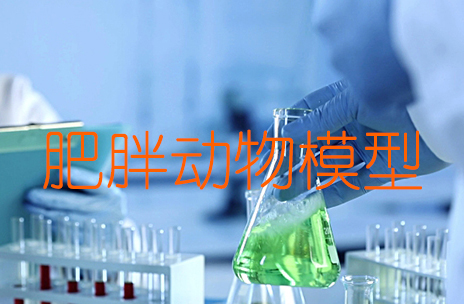 肥胖动物模型建立方法与造模技术