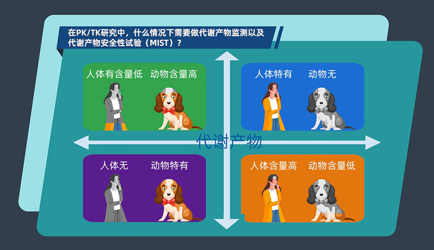 在PK-TK研究中,什么情况下需要做代谢产品监测以及代谢产品安全性试验(MIST)