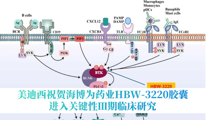 破解耐药性难题，美迪西祝贺海博为药业HBW-3220胶囊进入关键性Ⅲ期临床研究